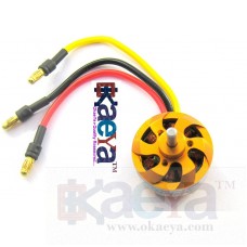 OkaeYa-1000Kv Outrunner Brushless Motor with Bullet Connectors