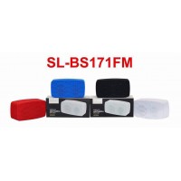 OkaeYa Sonilex SL-BS171FM Wireless Multimedia Speaker