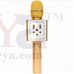 OkaeYa SL-BS189 Wireless Microphone HIFI Speaker BT Function, USB Devices Record Songs Aux in, TF card