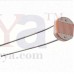 OkaeYa LDR - Light Dependent Register- Photo Resistor (6 Pcs)