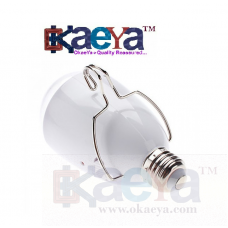 OkaeYa 2 in 1 AC/DC LED Light