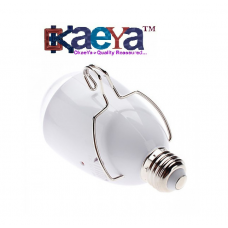 OkaeYa 2 in 1 AC/DC LED Light