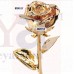 OkaeYa Natural Rose (30 cm x 12 cm x 9 cm, Gold)