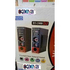 OkaeYa Multimedia Speaker BT13000