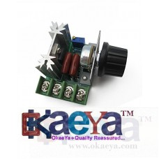 OkaeYa 3000W Thyristor Power Electronic Voltage Regulator