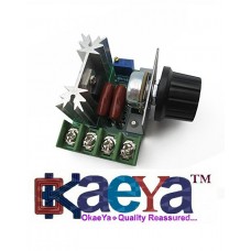 OkaeYa 3000W Thyristor Power Electronic Voltage Regulator